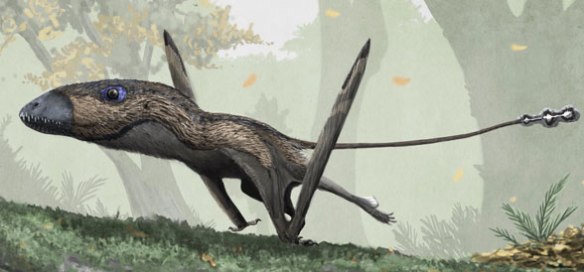 Figure 4. Galloping Dimorphodon by Mark Witton. 